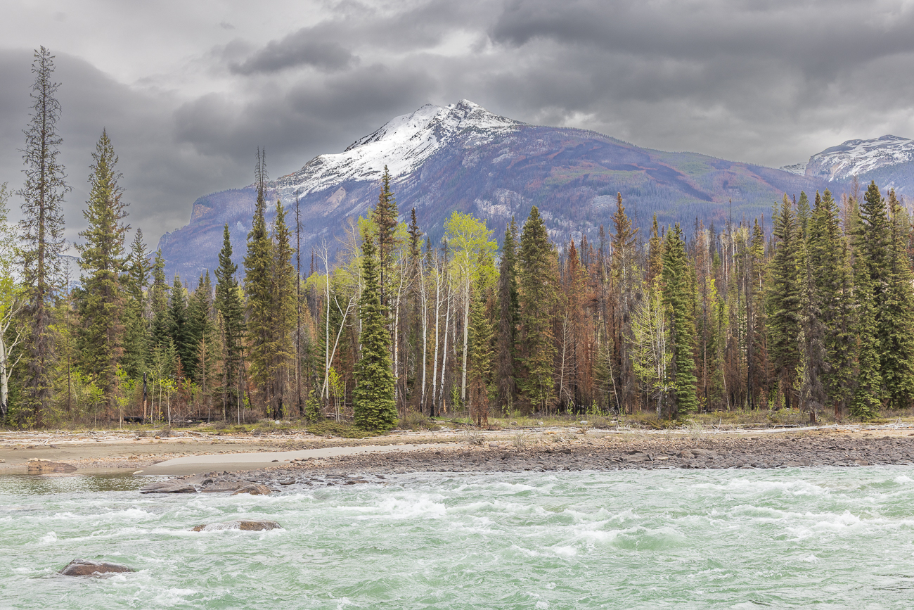Dunkle Wolken über dem Athabasca River