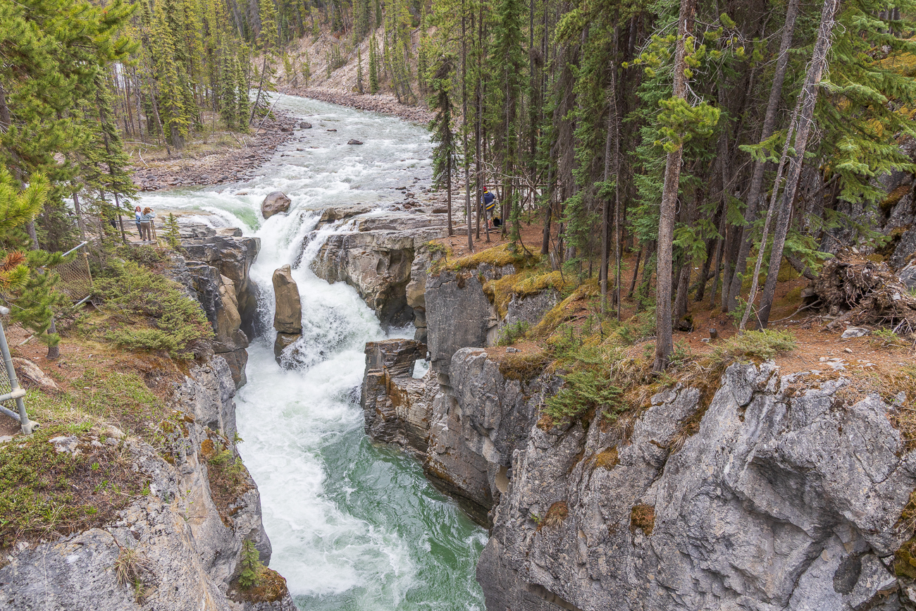 Die Sunwapta Falls sind ein Wasserfall am Sunwapta River, einem Nebenfluss des Athabasca River, im Jasper-Nationalpark in der kanadischen Provinz Alberta