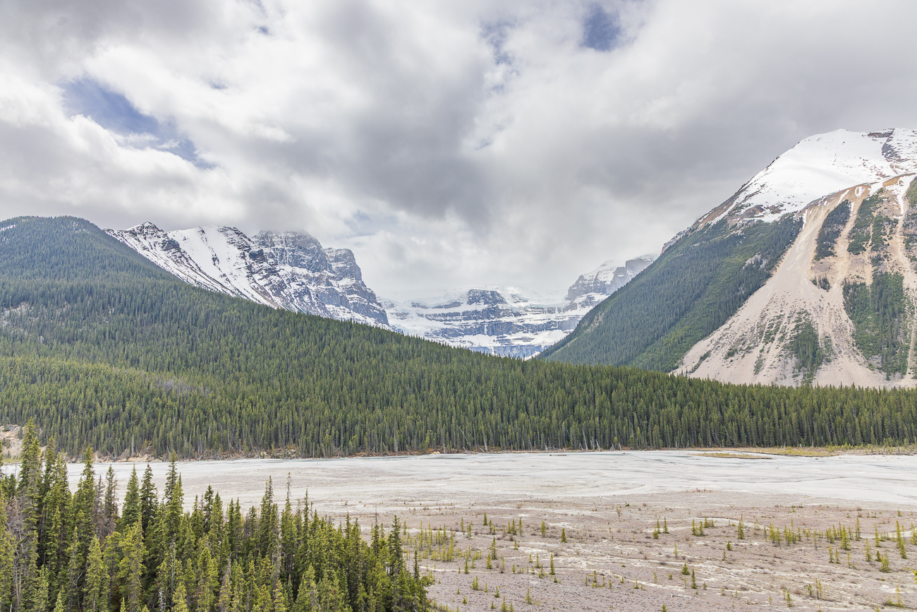 Auf dem Icefields Parkway