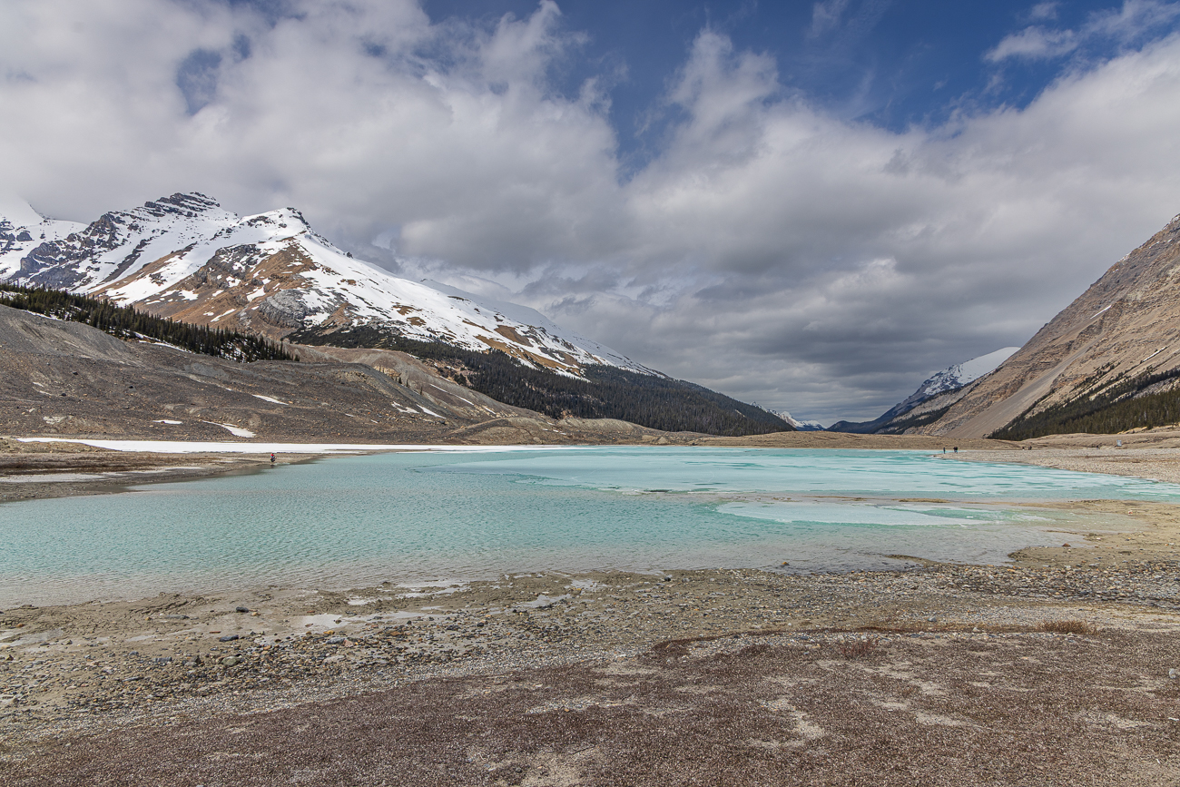 Gletschersee des Athabasca Gletschers