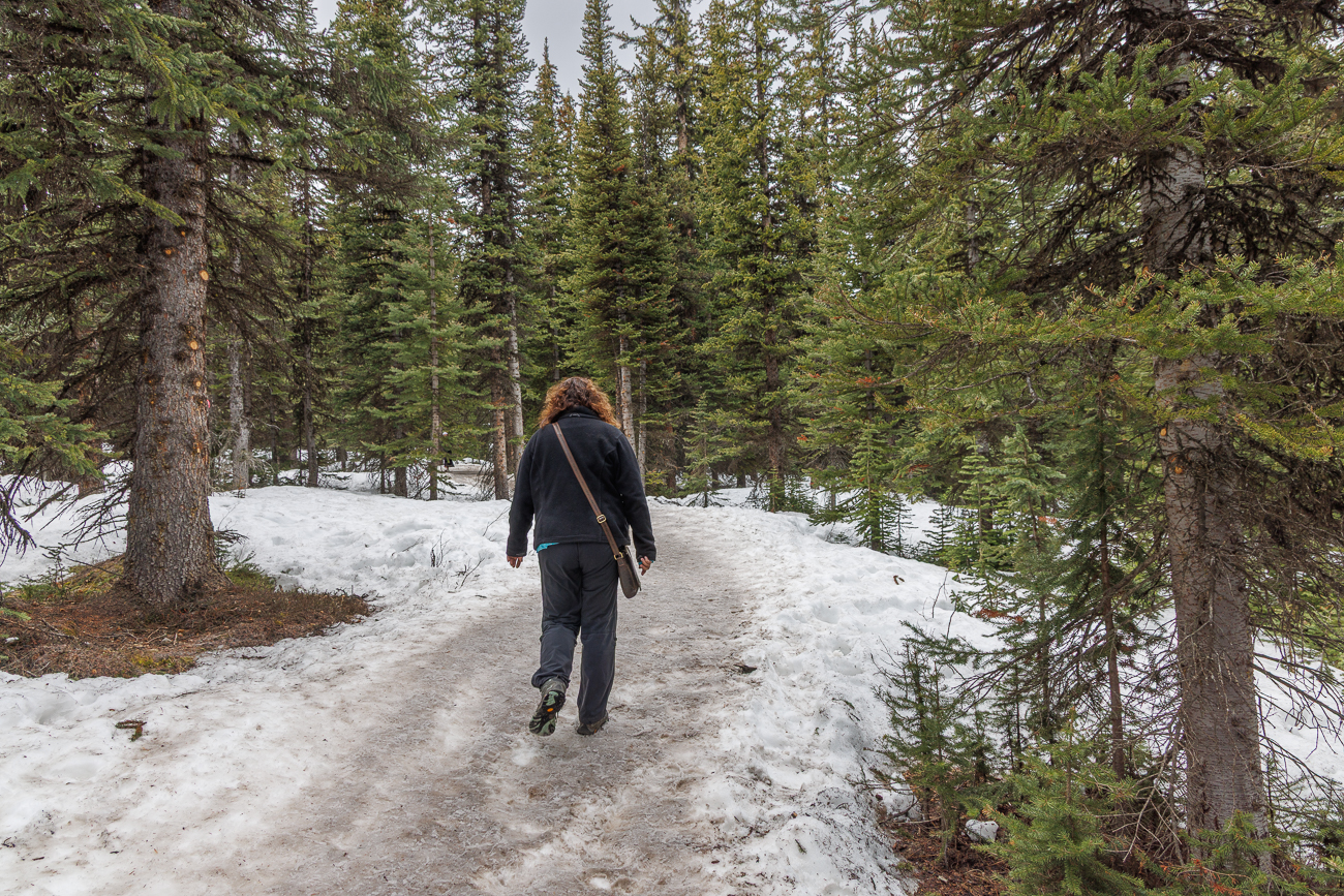 Wiederum etwas weiter wandern wir zum Aussichtspunkt des Peyto Lakes