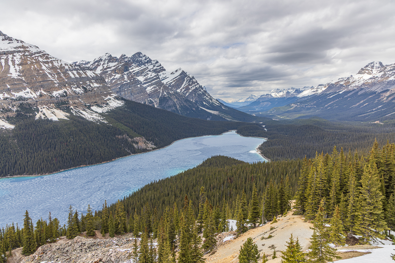 Blick auf den Peyto Lake