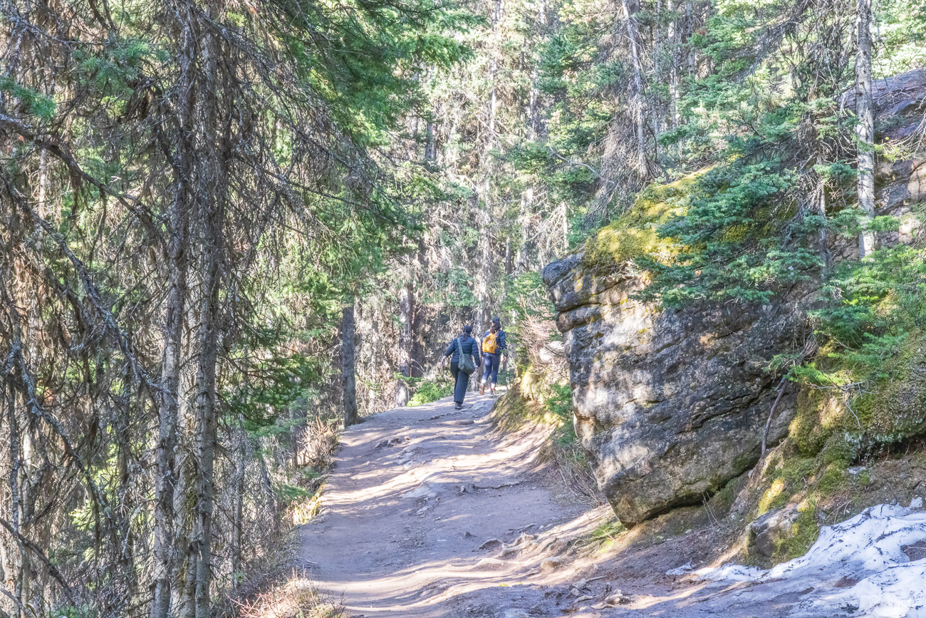Durch den Wald geht es recht steil den Berg hinauf. Tatsächlich ist es viel dunkler, als es das Bild glauben lässt