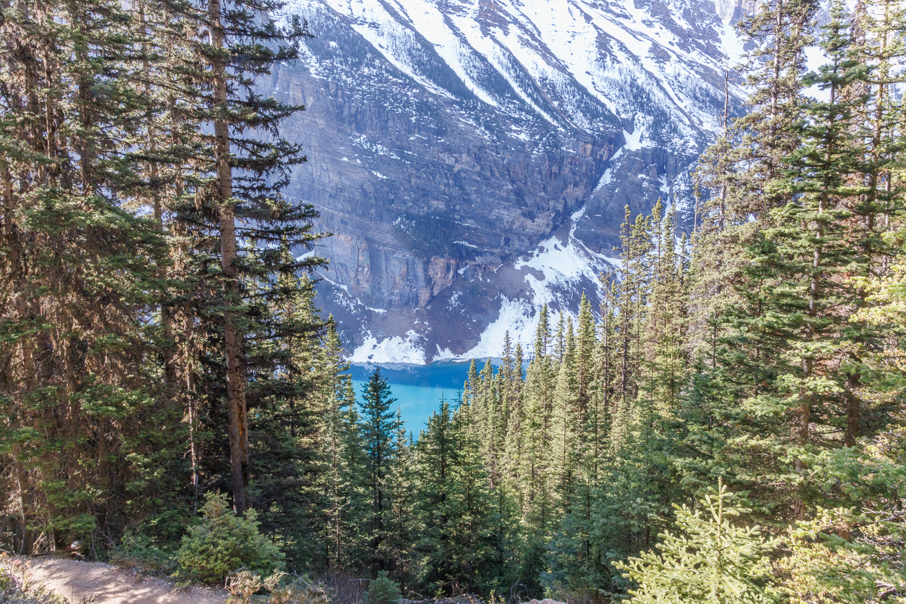 Blick auf den Lake Louise