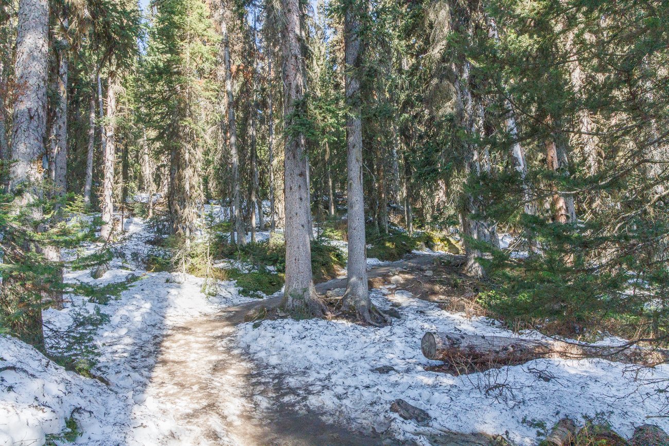 Etwas weiter oben geht es auf rutschigen, schneebedeckten Wegen weiter