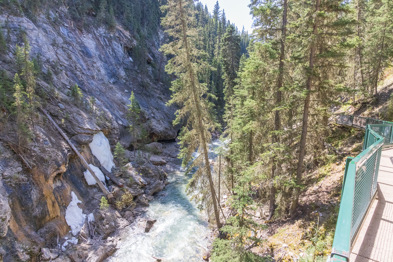 Blick in den Canyon mit dem Johnston Creek ...