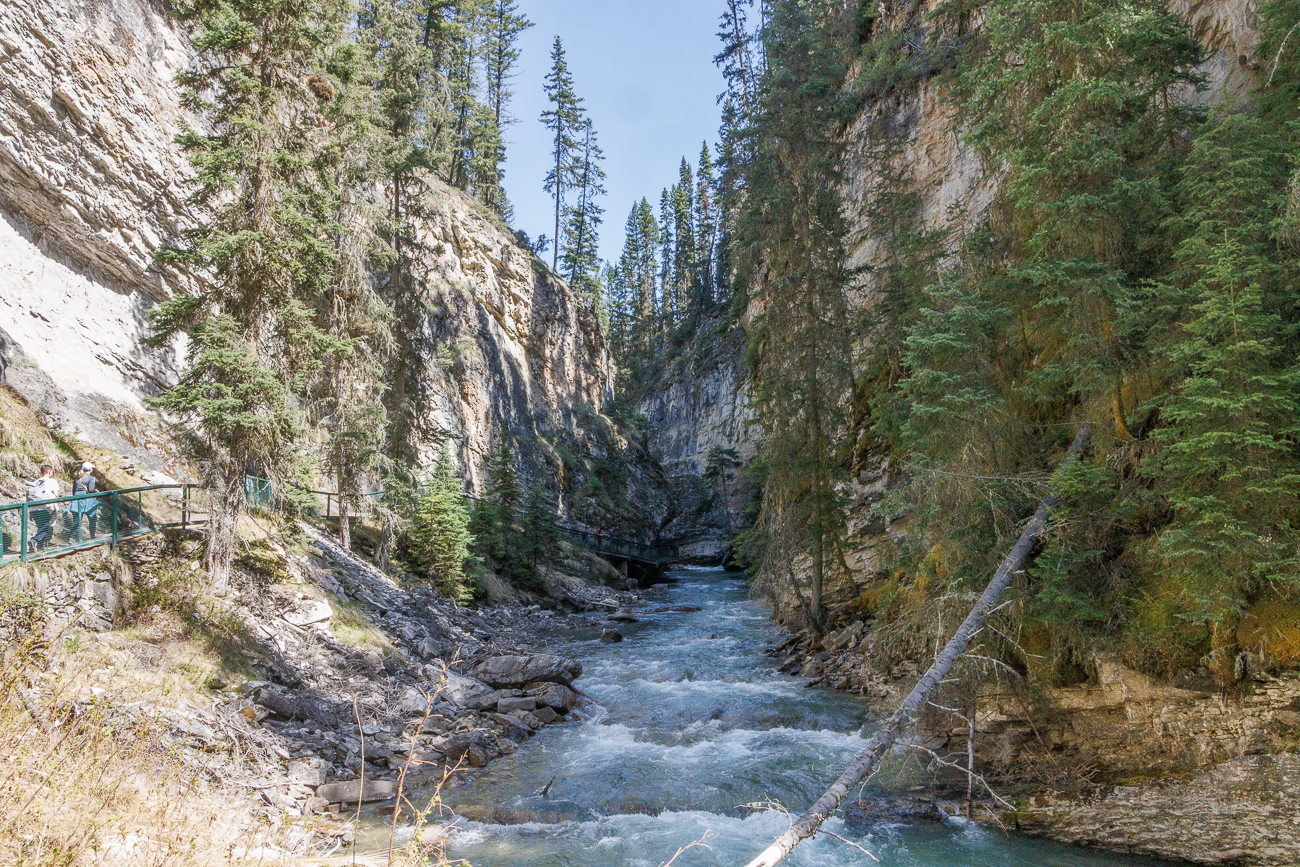 Befestigter Wanderweg am Ufer des Johnston Creek