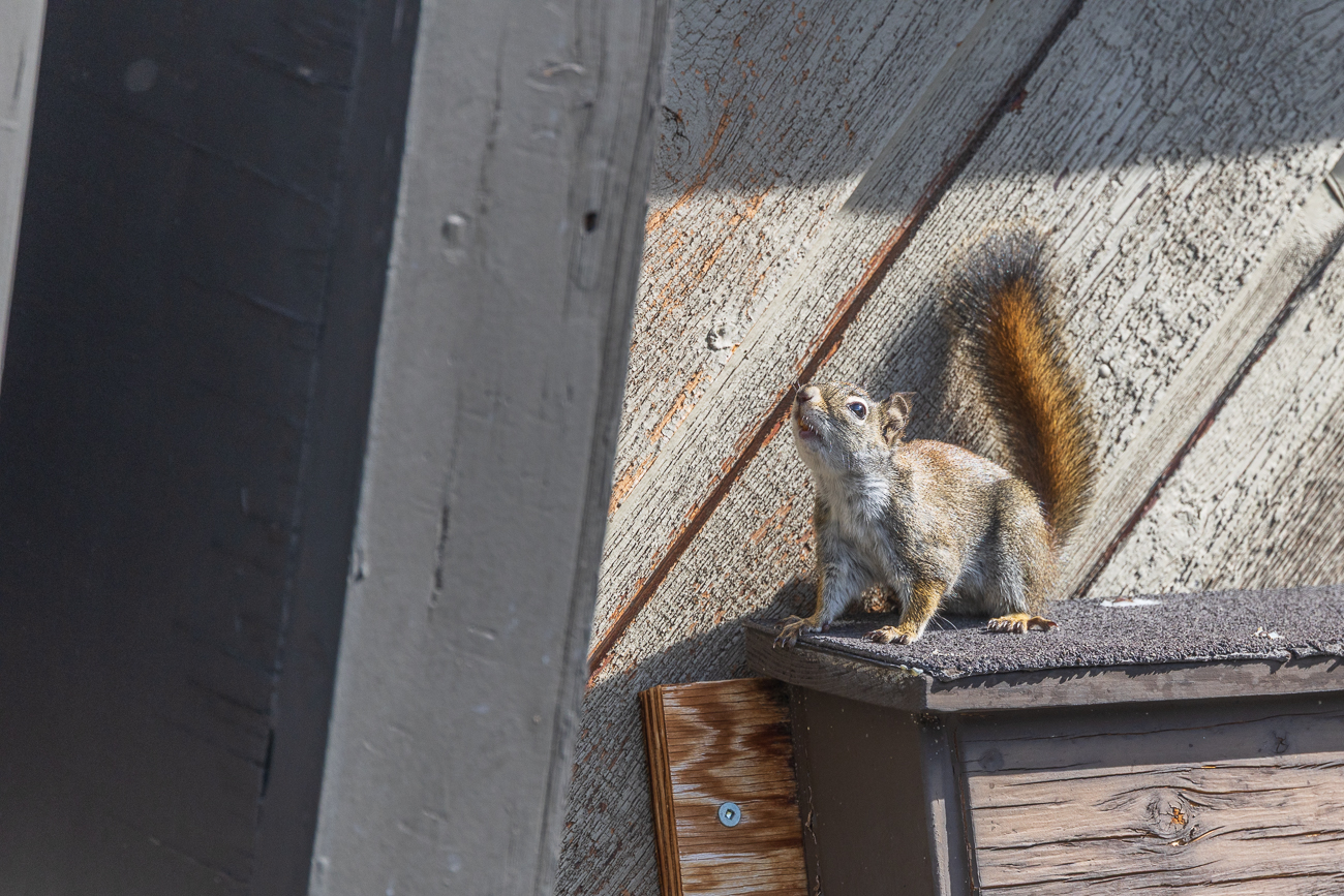 Was mag da nur in der Luft liegen?