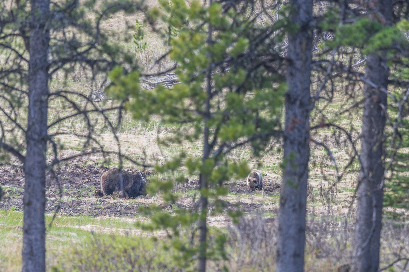 Eigentlich sind wir trotzdem zufrieden, so ist halt die Natur