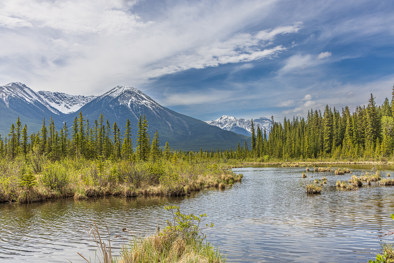 Bei Banff halten wir an den Vermillion Lakes ...