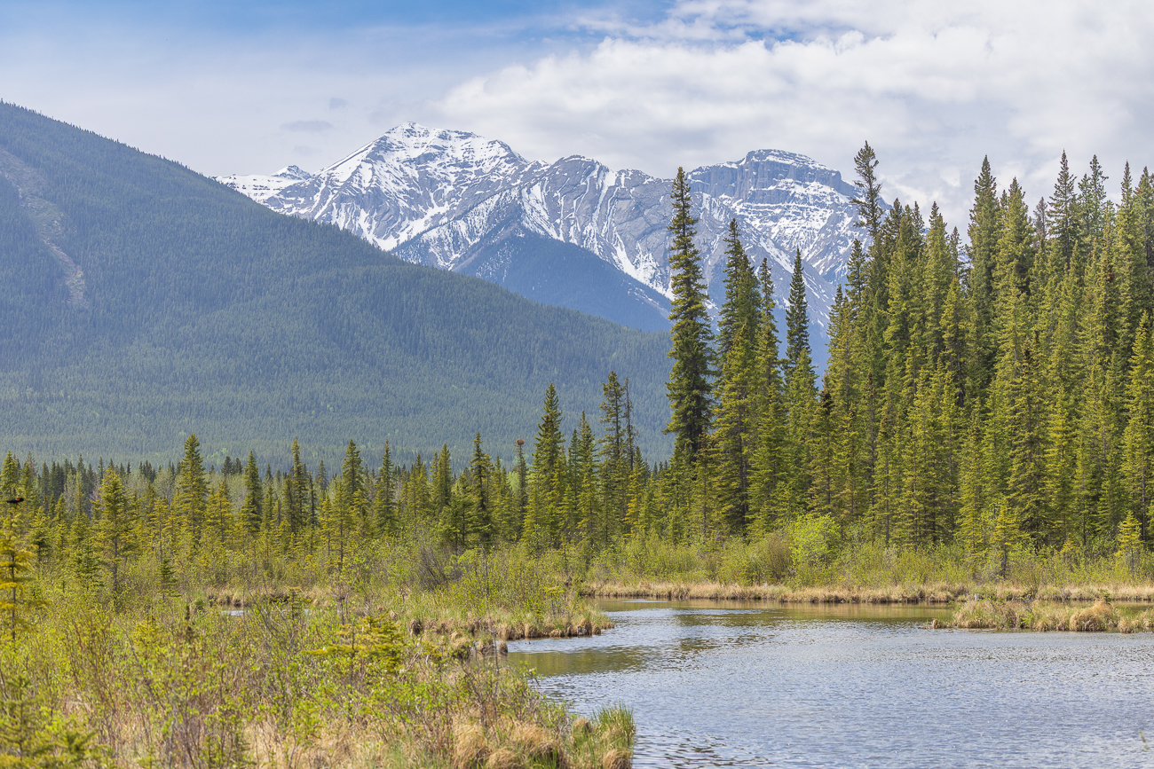 Abschied von den Vermillion Lakes und Banff