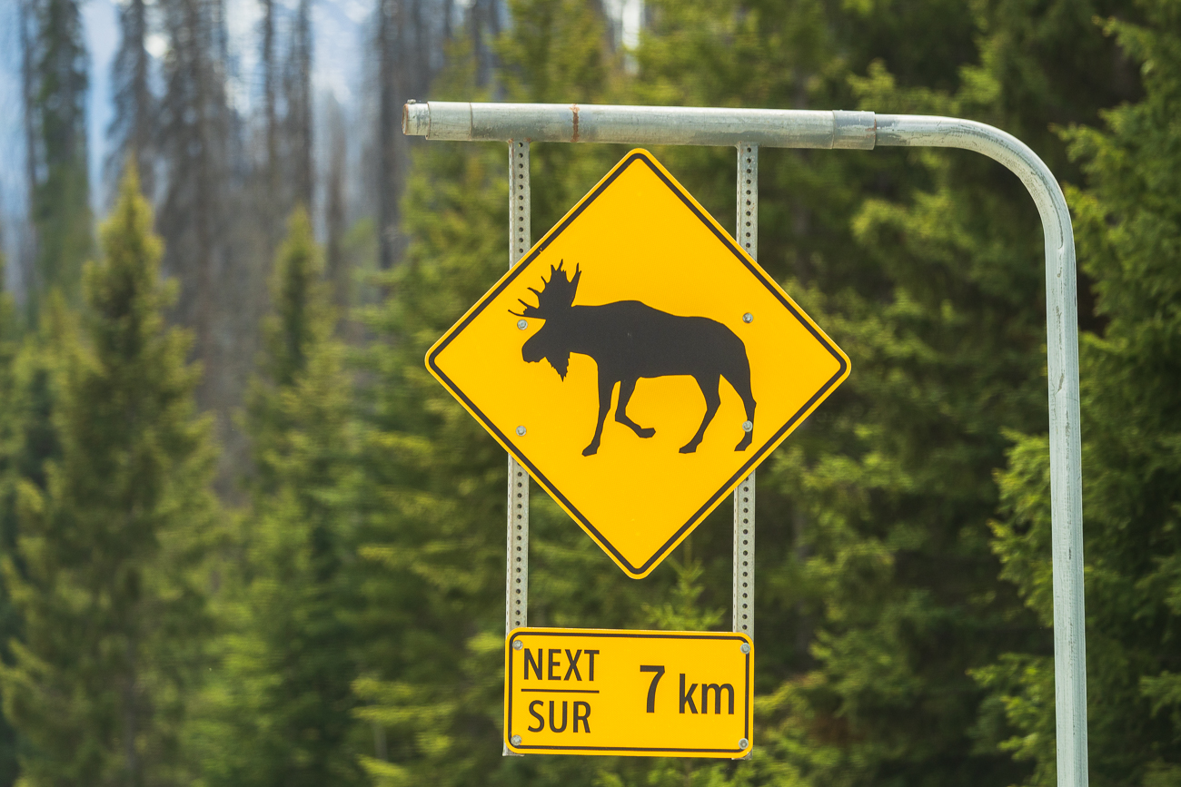 An solchen Schildern sind wir schon oft vergeblich vorbei gefahren ...