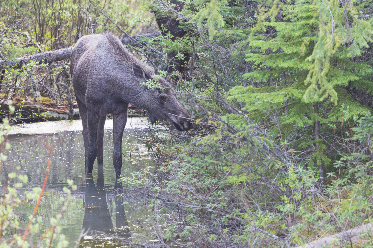 Ein letzter Blick, dann fahren wir weiter