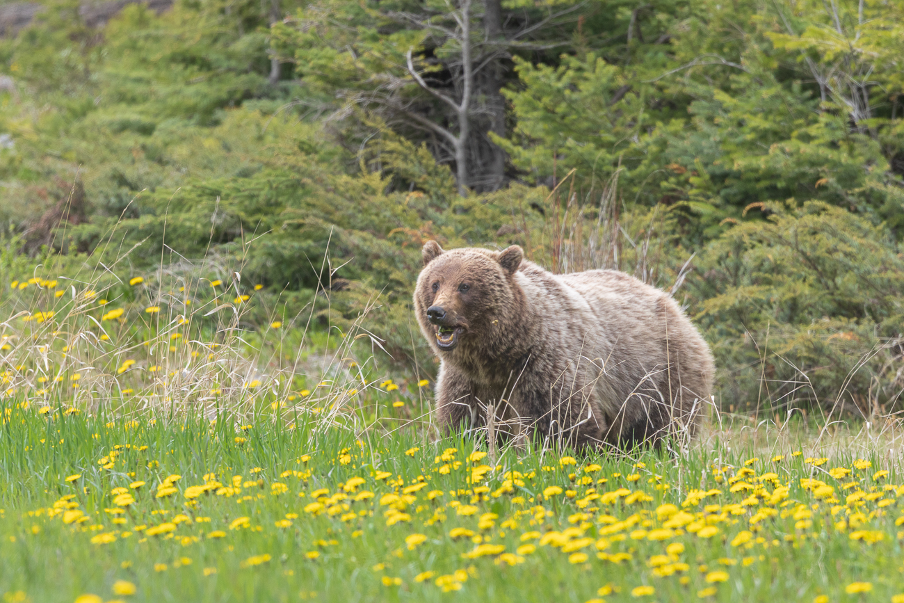 Der Mutter scheint es zu schmecken