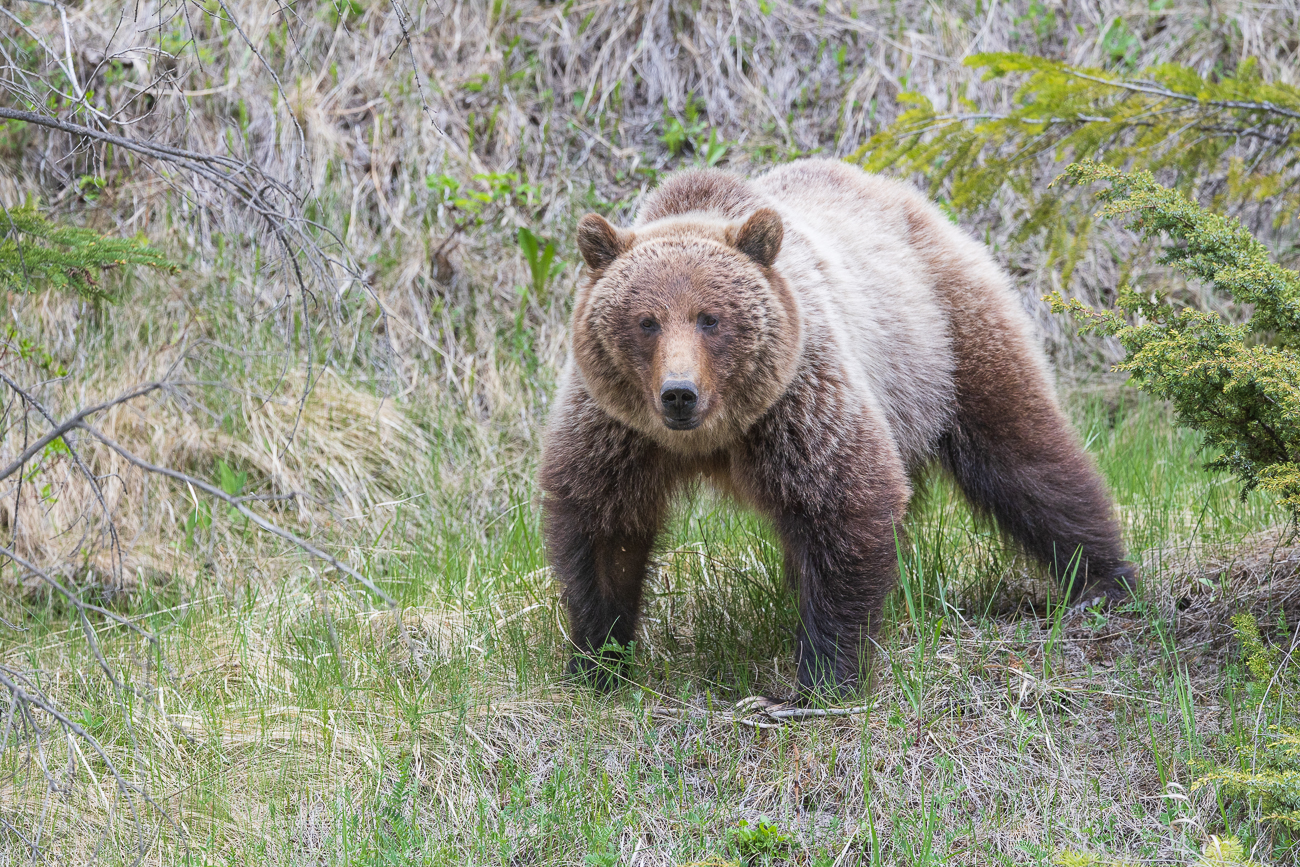 Die Mutter ist da etwas aufgeschlossener