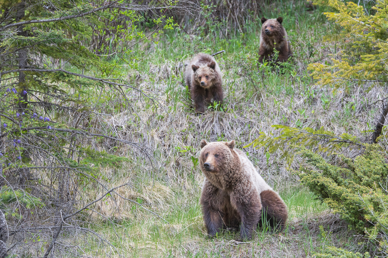 Bei jedem lauten Geräusch durch die Autos und LKW ...