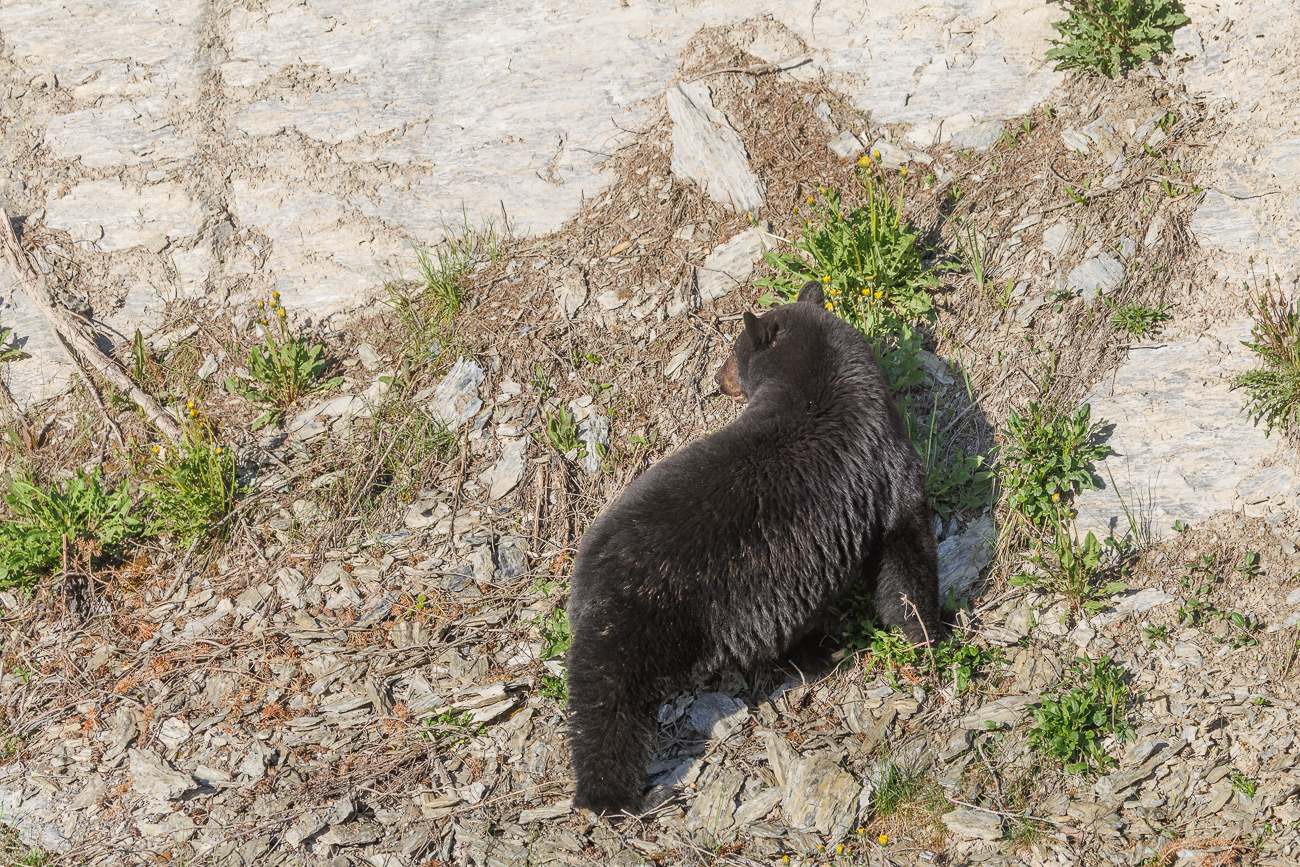 ... und weil wir so früh am Morgen unterwegs sind ...