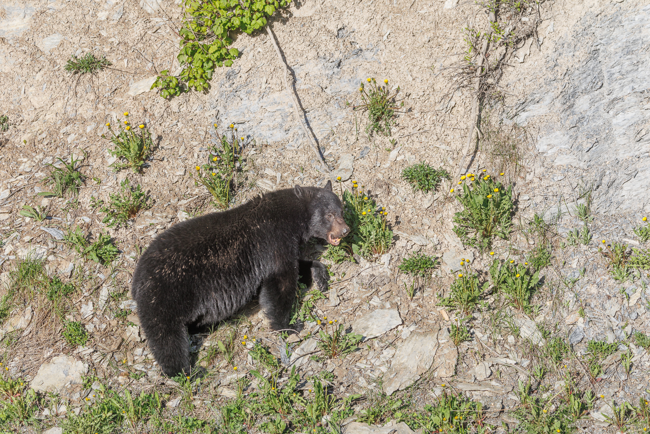... stört auch der wenige Verkehr nicht