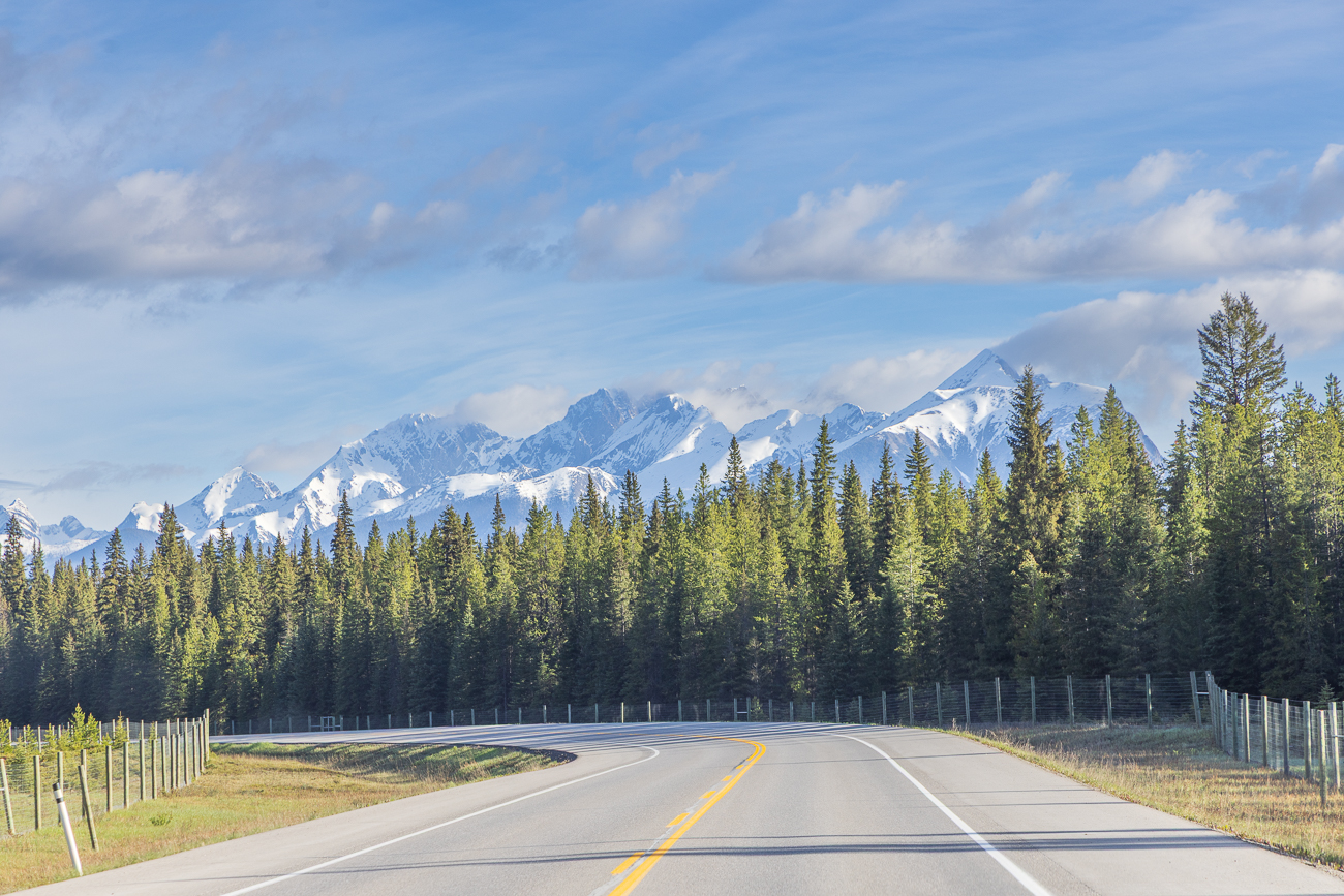 Etwas weiter auf dem Banff-Windermere-Parkway ...