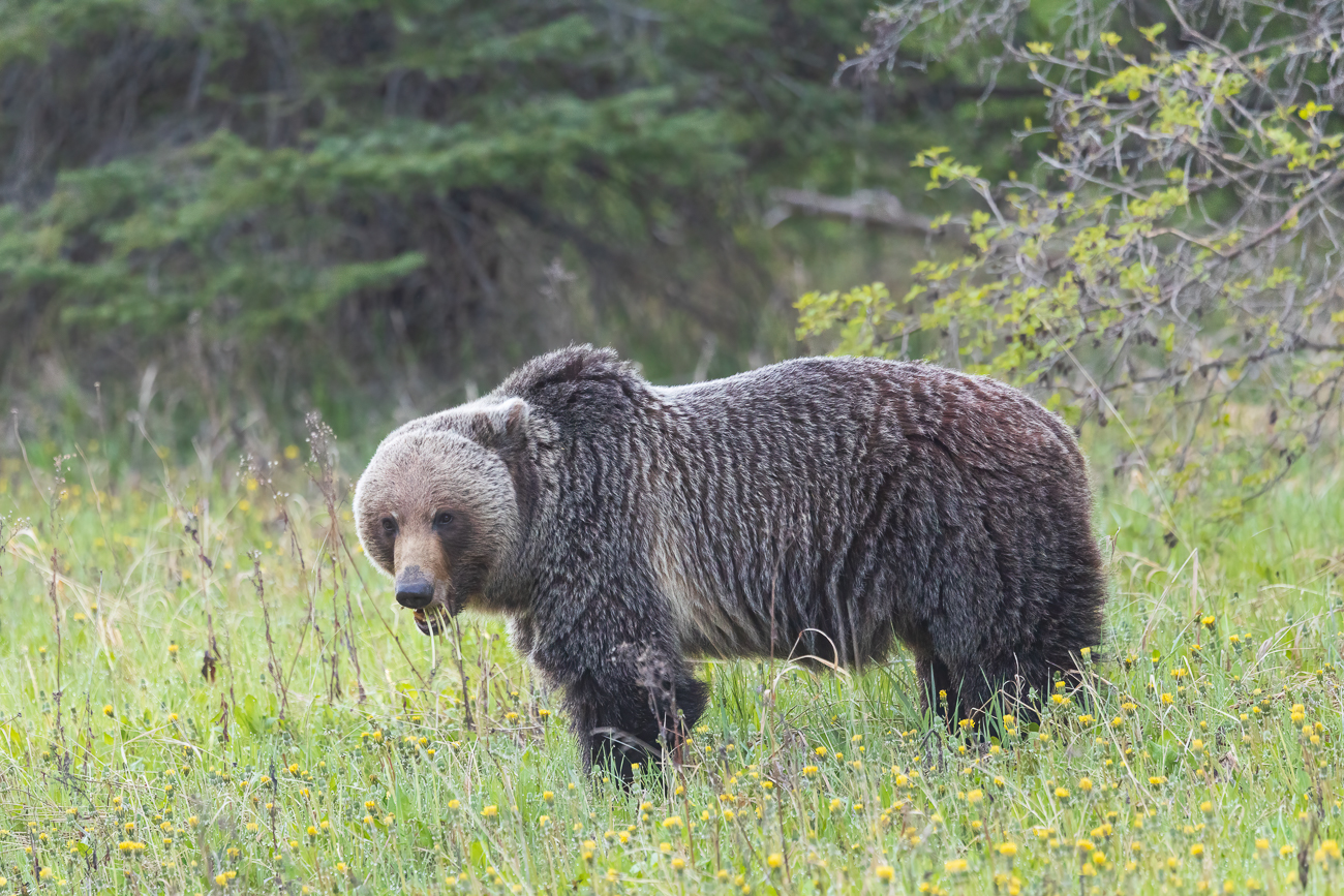 Gut, dass wir in einer Blechdose sitzen ;-)