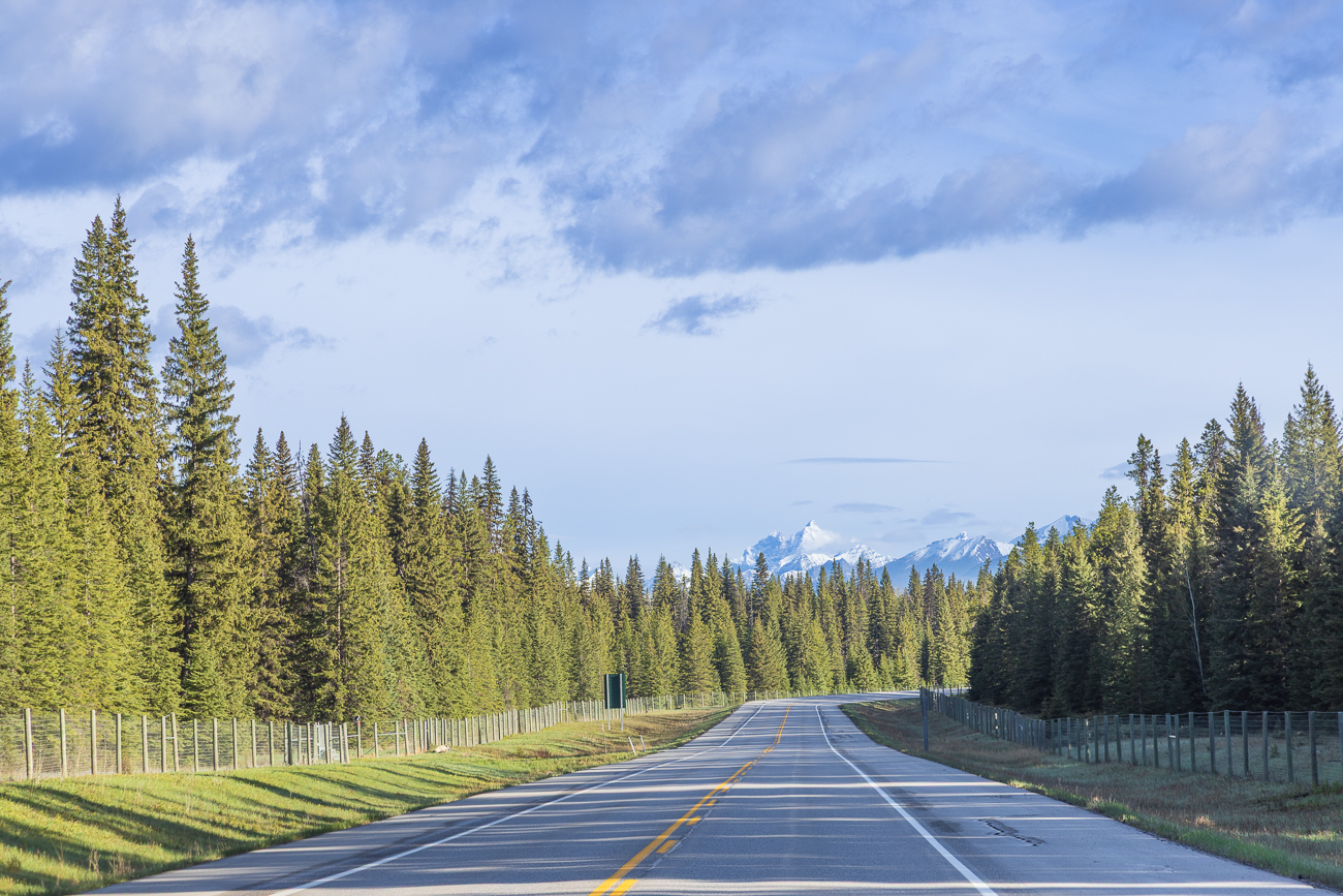 Weiter geht die Fahrt ...