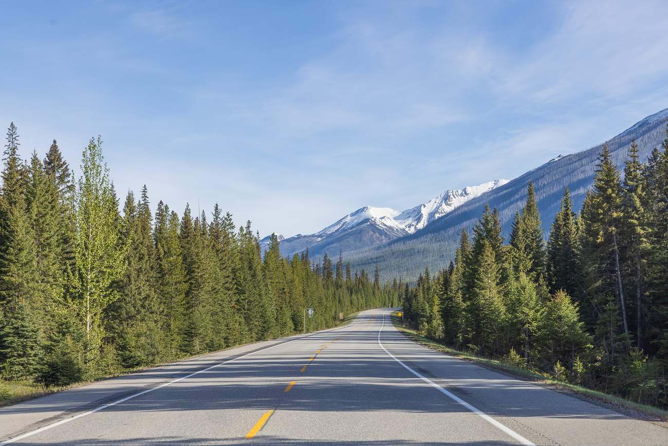 Wir durchqueren tolle Landschaften ...