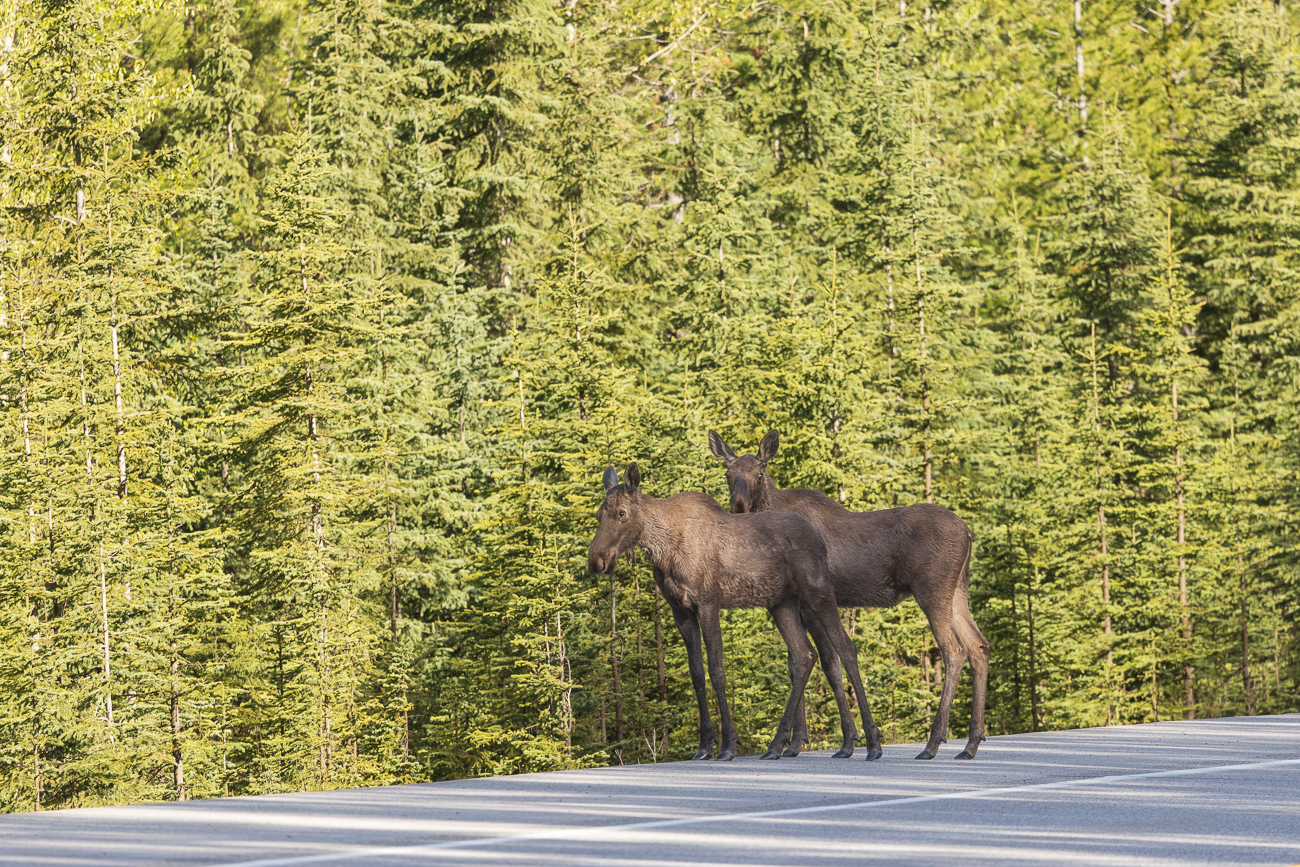... wir hoffen, dass die anderen Autos und LKW vorsichtig fahren