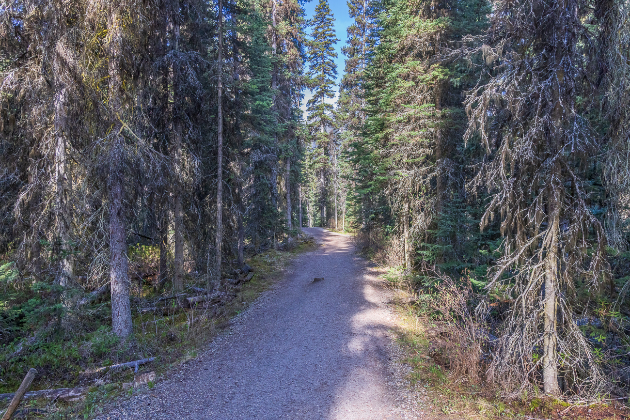 Hier laufen wir zu den Paint Pots