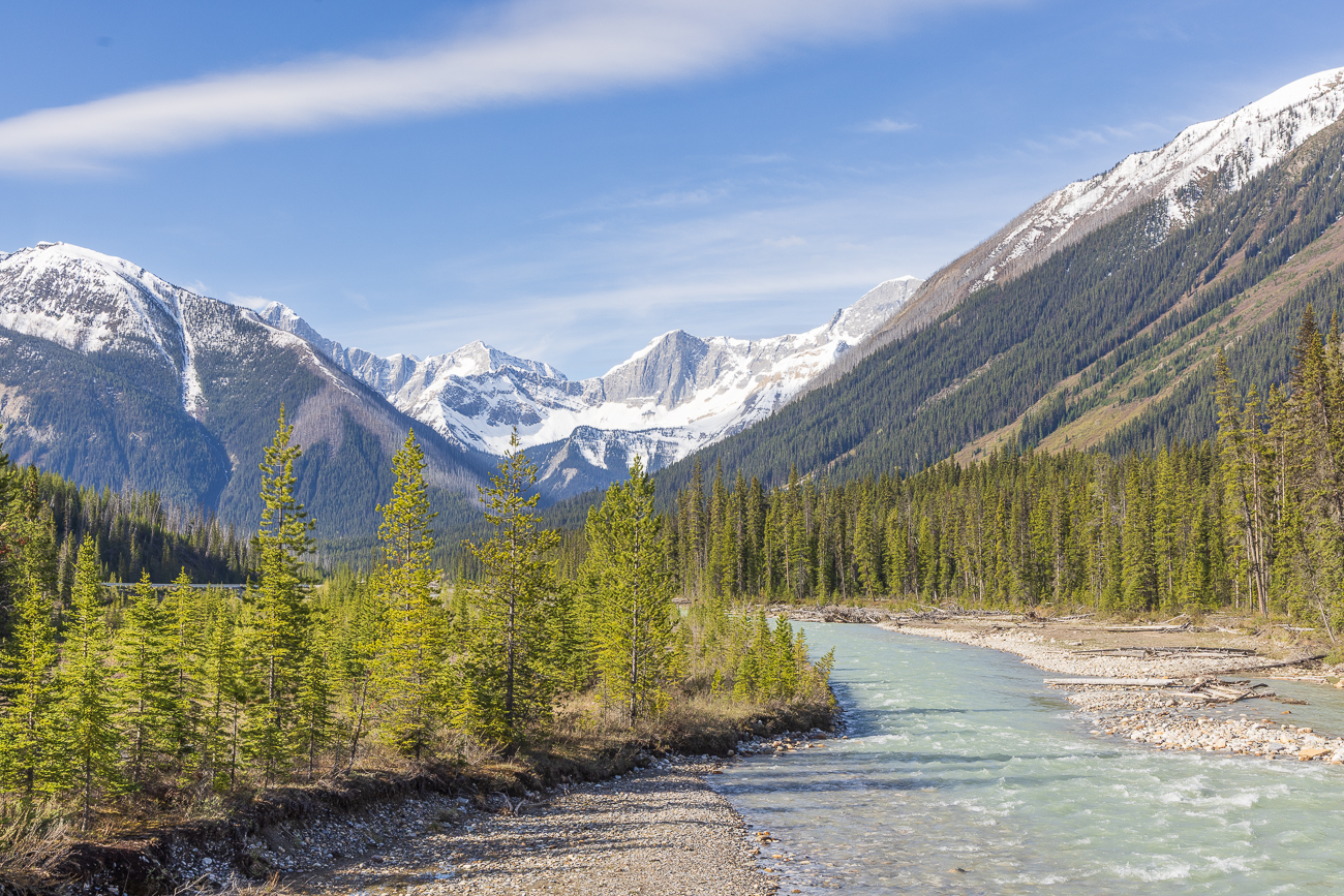 Da wir in einiger Entfernung einen Bären sehen, verzichten wir hosenvollmäßig auf die Paint Pots ...