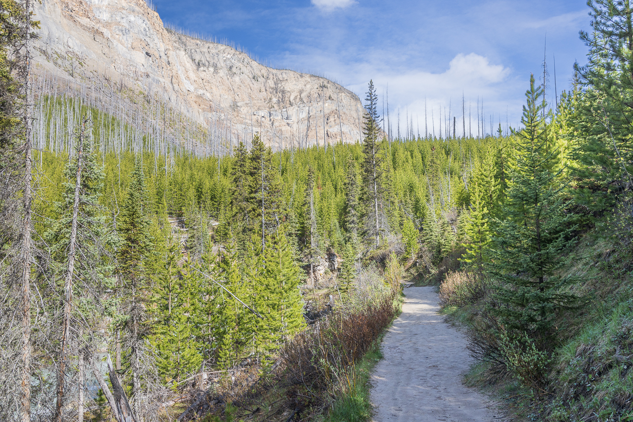Dafür machen wir etwas später eine Mini-Wanderung zum Marble Canyon