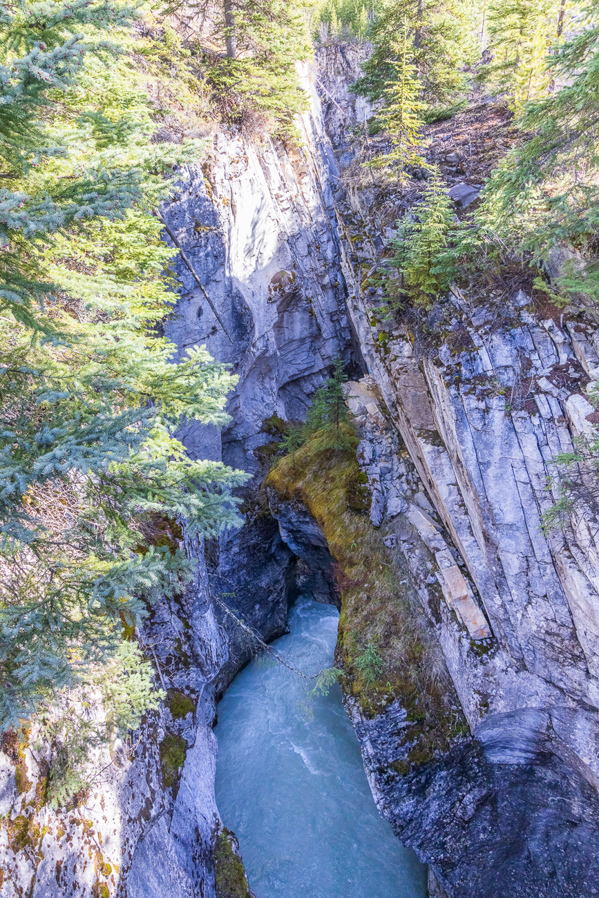 Der obere Teil der Schlucht kann über Holzstufen erreicht werden ...