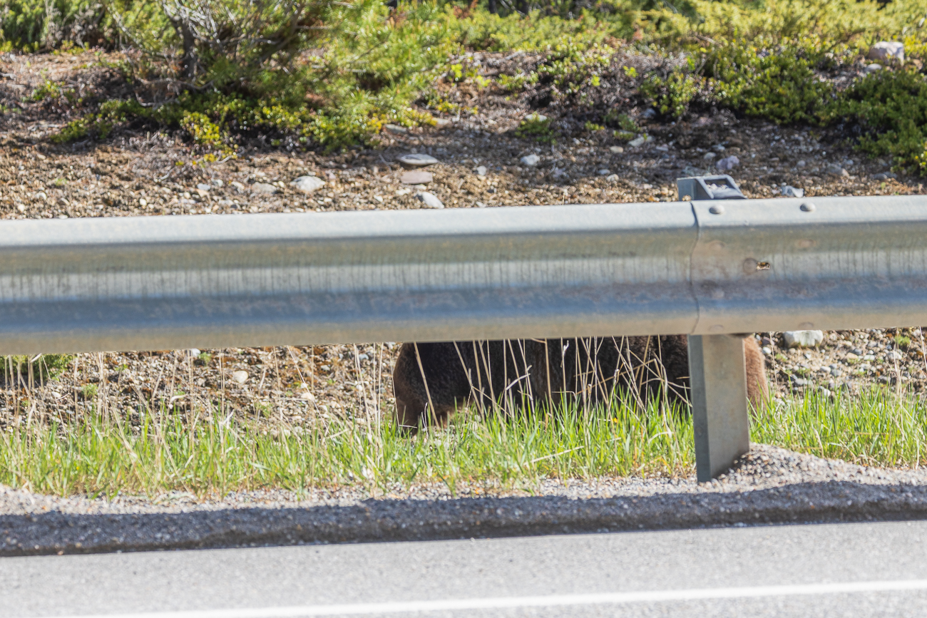 ... enttäuscht uns nicht ;-)