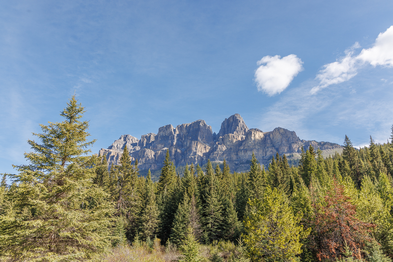 Die Castle Cliffs im Bow Valley