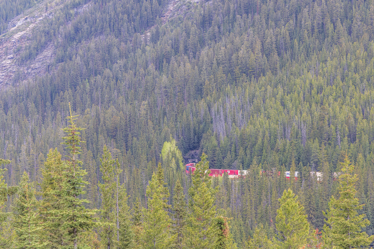 Als Spiral Tunnel werden zwei Kehrtunnel an der transkontinentalen Eisenbahnstrecke der Canadian Pacific Railway (CPR) in der kanadischen Provinz British Columbia bezeichnet. Sie liegen östlich der Gemeinde Field und westlich des Kicking Horse Pass, der die Wasserscheide in den Rocky Mountains bildet, im Yoho-Nationalpark. CPR-intern wird der Abschnitt, in dem der Tunnel liegt, als Laggan Subdivision bezeichnet.