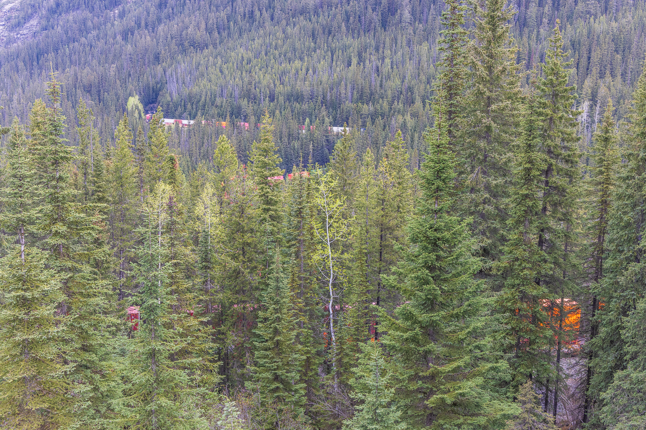 Als die Tunnel im Jahr 1909 eröffnet wurden, galten sie als technische Meisterleistung und entschärften die bis dahin genutzte Steilstrecke erheblich. Durch die neue Streckenführung verlängerte sich die Strecke und sank das durchschnittliche Gefälle von 45 ‰ auf immer noch überdurchschnittliche 22 ‰.