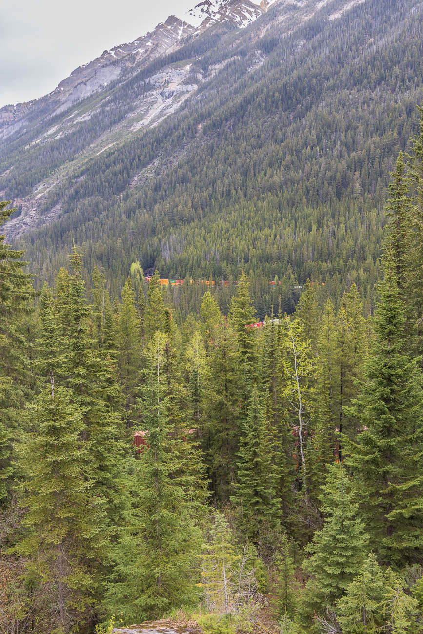 Wegen der Länge der Kanadischen Güterzüge ist der Zug vor dem ersten Tunnel, zwischen dem ersten und dem zweiten Tunnel und auch bei der Ausfahrt aus dem zweiten Tunnel gleichzeitig zu sehen