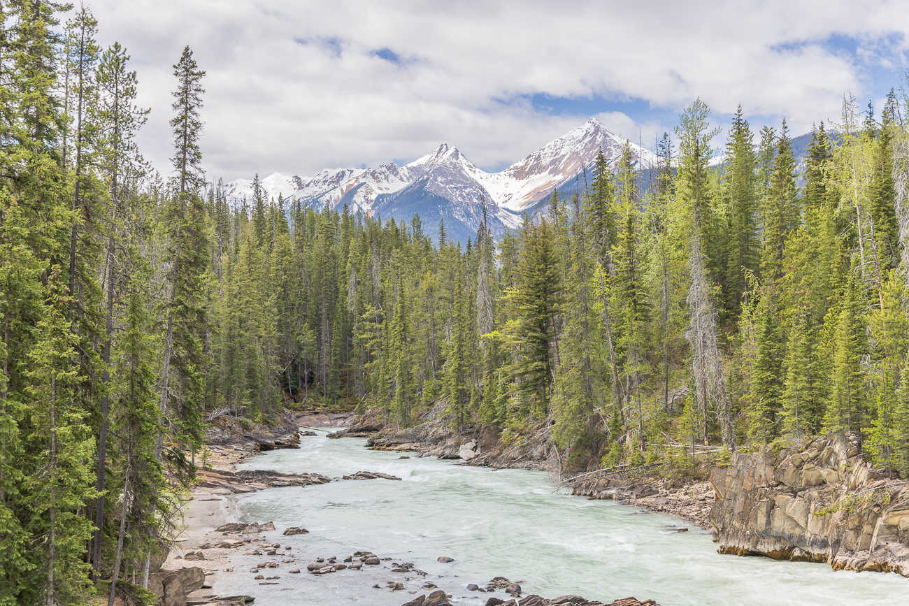 Der Kicking Horse River ...