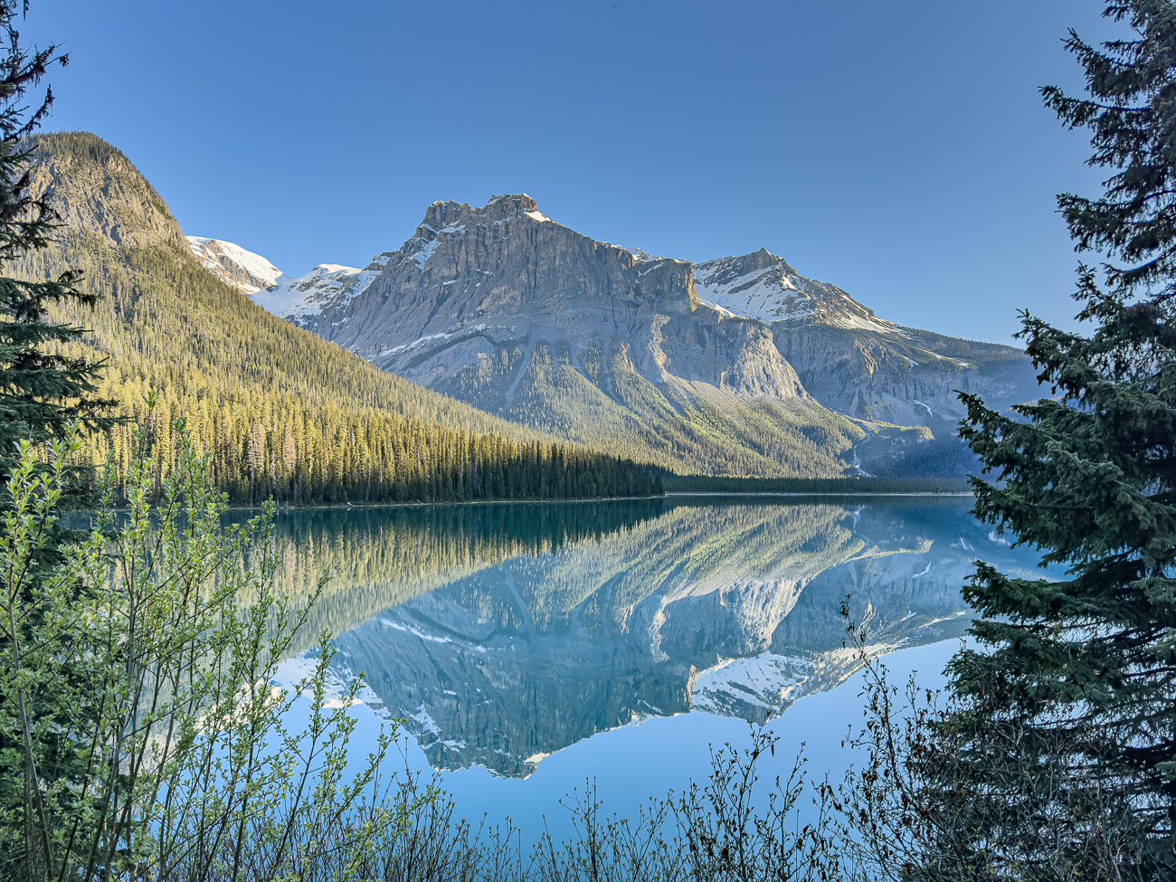 So einen Anblick möchten viele Touristen genießen ...