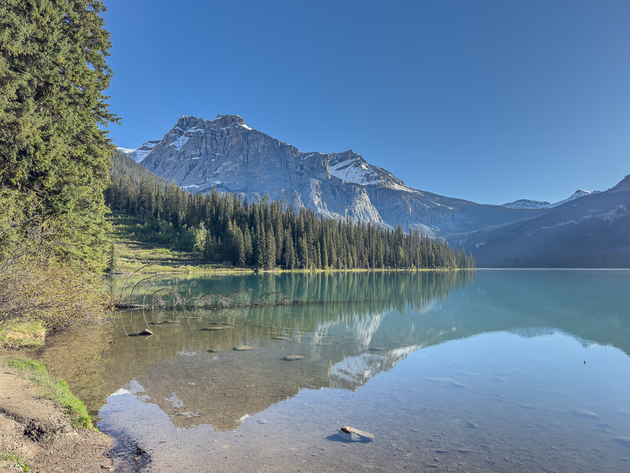 ... doch nur der frühe Wurm entgeht dem lange schlafenden Vogel - oder so ähnlich ;-)