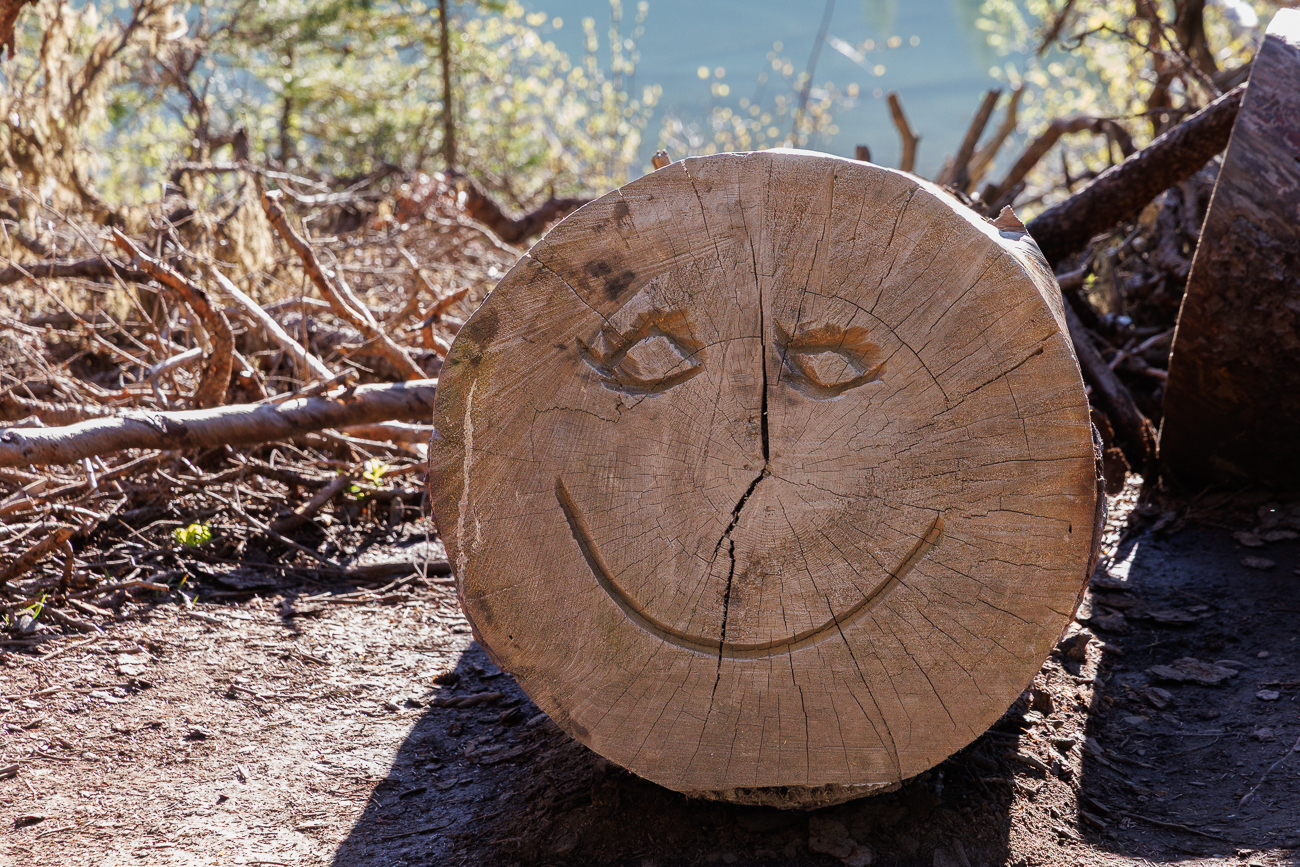 Auch der Baum freut sich über das schöne Wetter