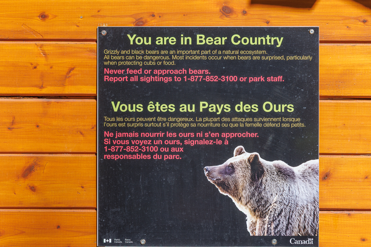 Da wir hier im Bärengebiet sind ...