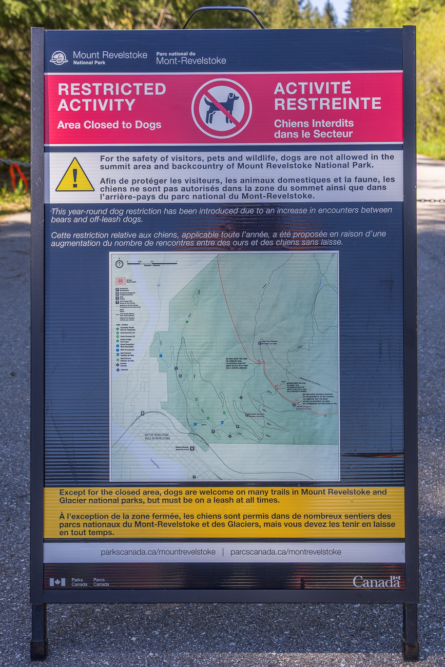 Außerdem sind auf der gesamten Strecke keine Hunde erlaubt, weil unvernünftige Hundebesitzer ihre Hunde nicht angeleint hatten und es zu problematischen Begegnungen mit Bären kam