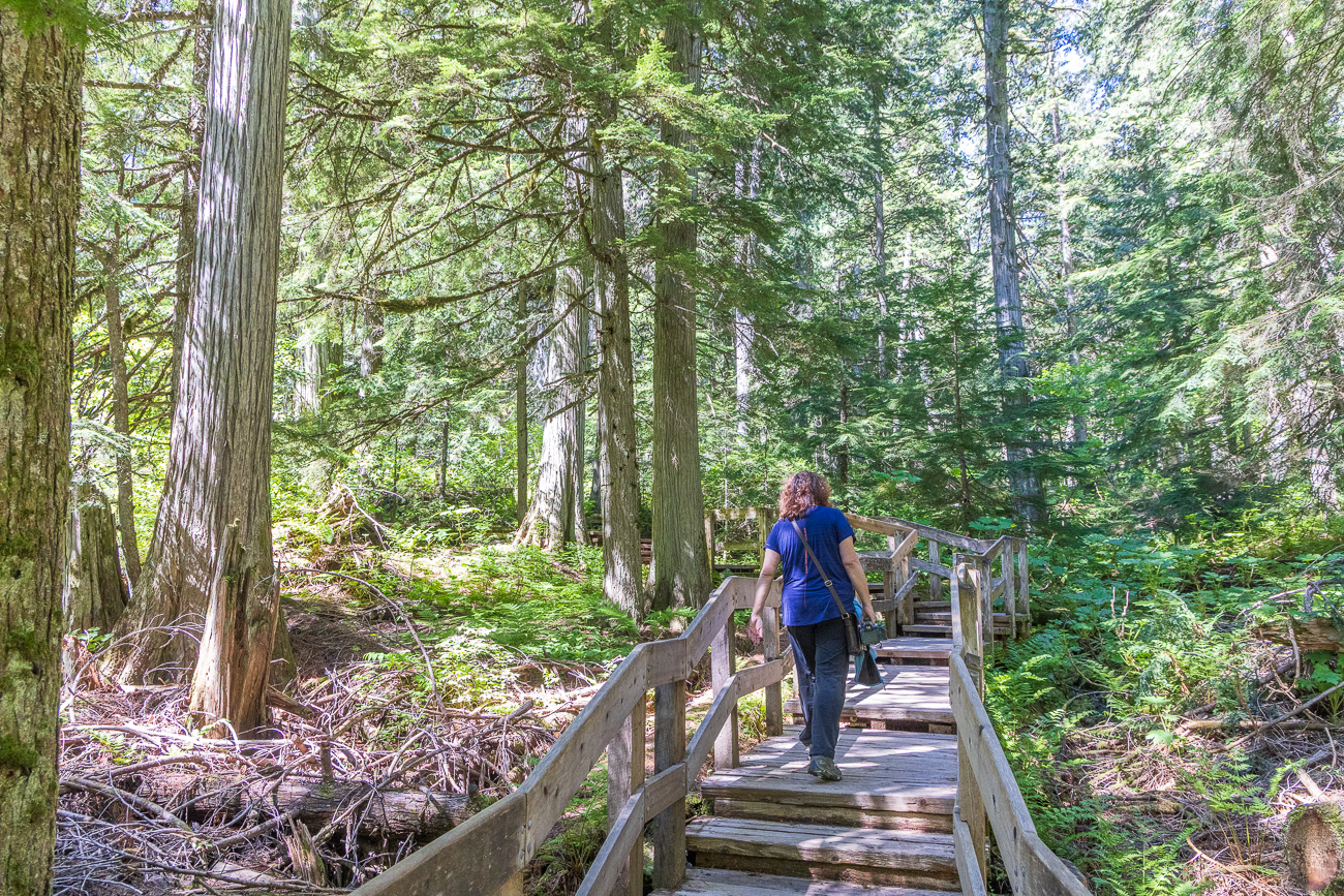 ... doch nur ein Teil des Rückwegs war zu, den Rest konnten wir laufen