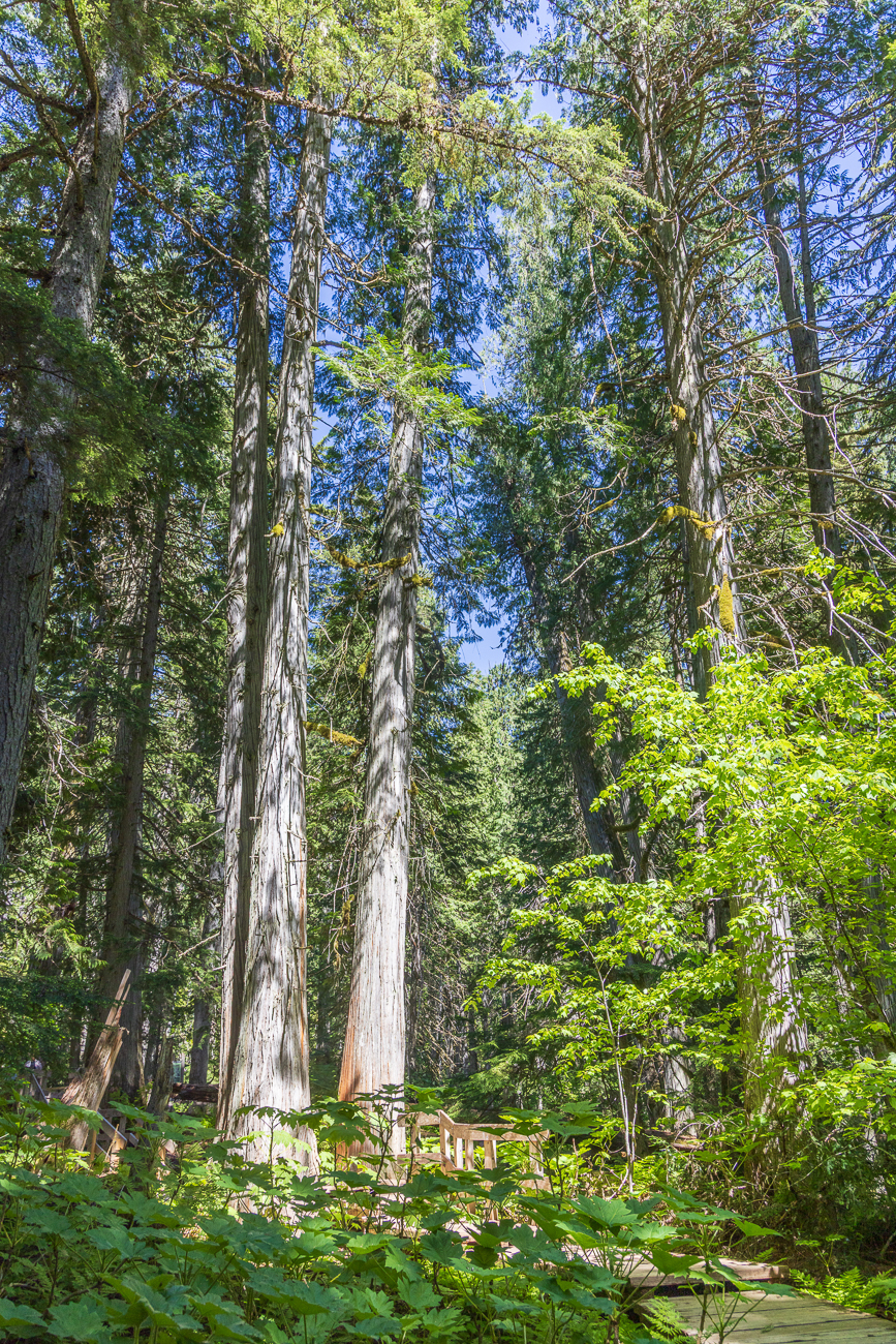 ... im Emerald Lake, fast wie in einem Kaleidoskop
