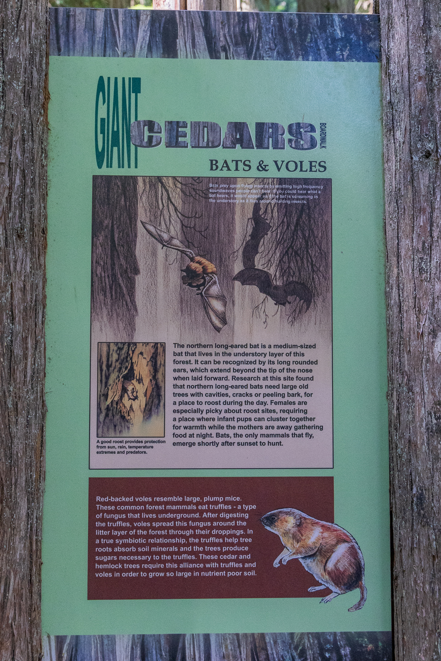 ... sind Fleder- und Wühlmäuse beheimatet