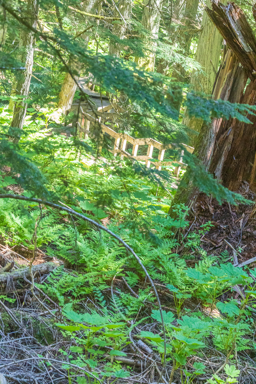 ... dann beginnt der gesperrte Teil und wir müssen umkehren