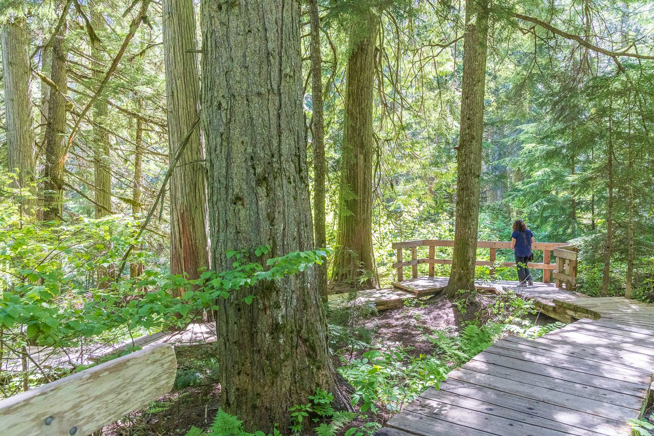 Auf dem Rückweg zum Parkplatz
