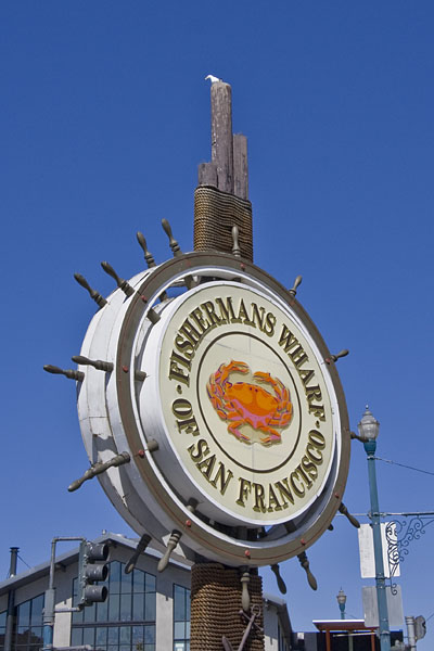 Wieder am Pier 39
