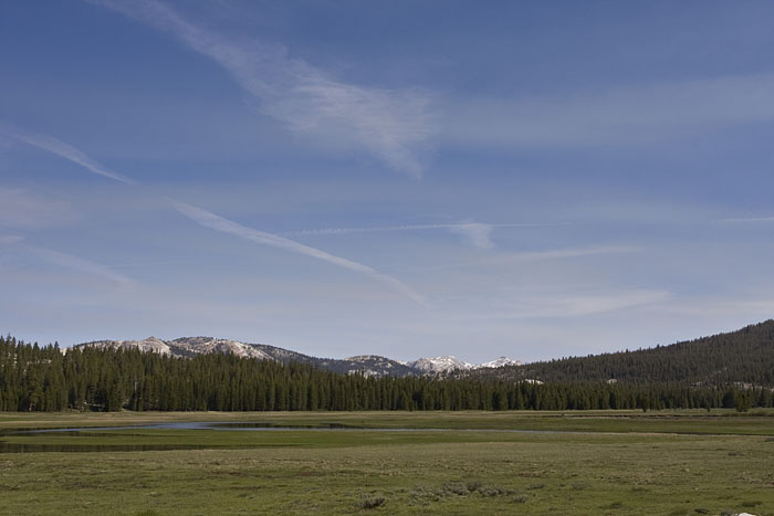 Toulumne Meadows