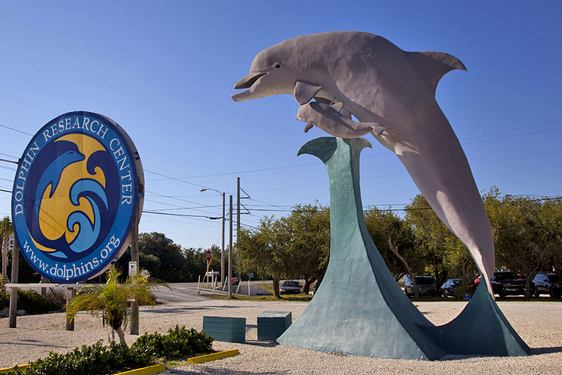 Besuch im Dolphin Research Center